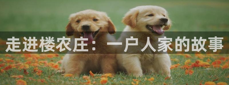 琳琅娱乐机器人