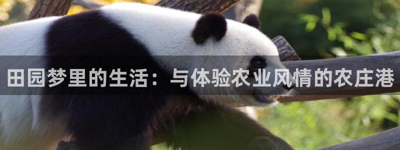 琳琅娱乐场所有哪些