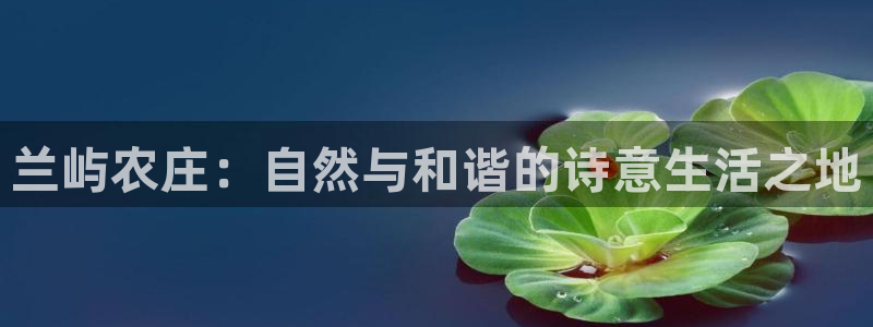 琳琅娱乐工作室招聘电话