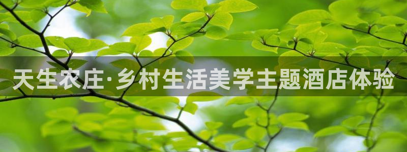 杭州琳琅互动娱乐