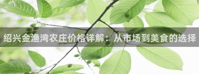琅琳琅娱乐