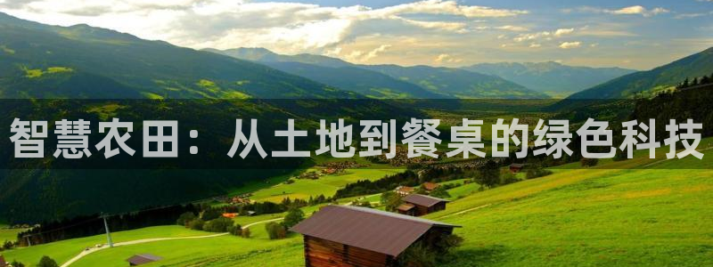 琳琅娱乐挂机