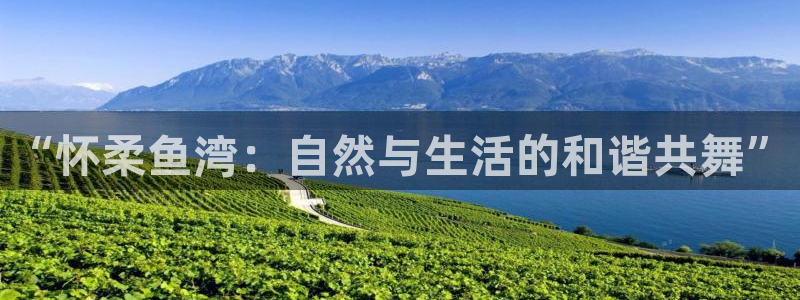 琳琅社区文艺娱乐