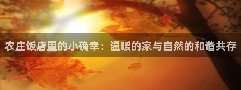 琳琅娱乐场所