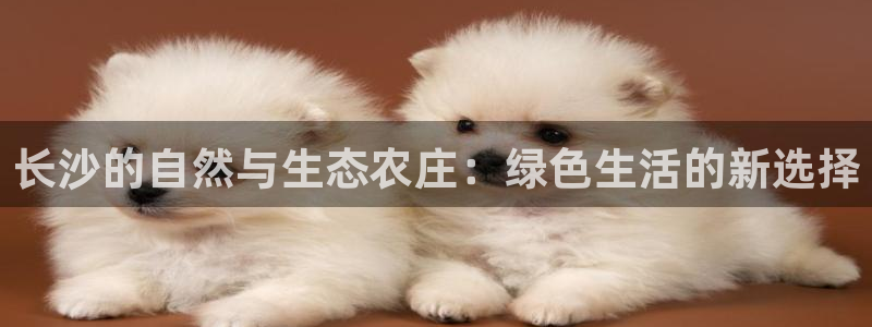 琳琅娱乐a