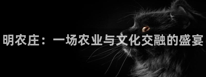 琳琅娱乐