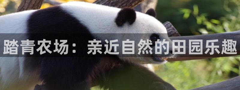 琳琅娱乐装7O777