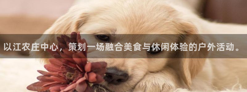 琳琅科技娱乐qq机器人词库