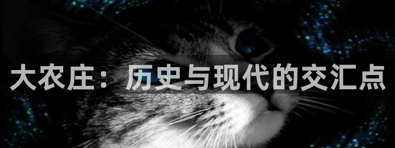 琳琅科技娱乐机器人教程