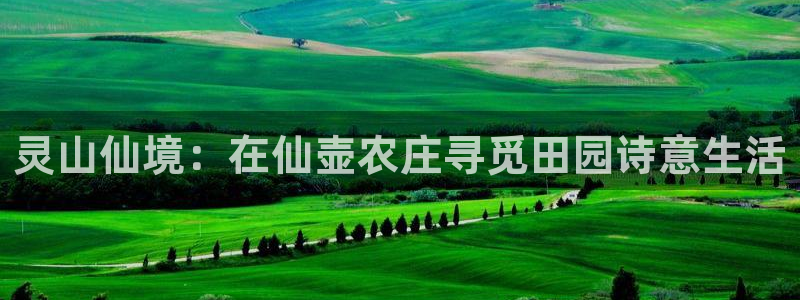 琳琅娱乐社区