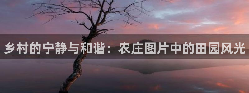 琳琅娱乐主管