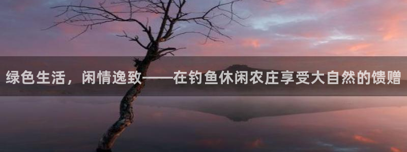 琳琅科技娱乐机器人
