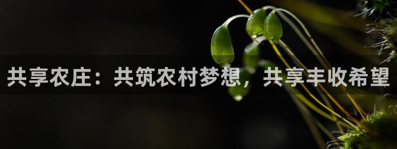 琅琳琅娱乐舍区