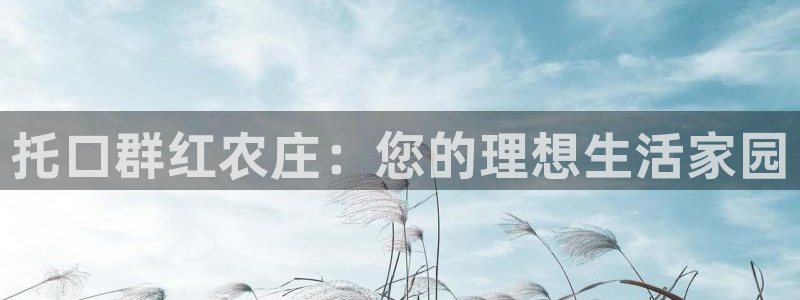 青娱娱乐琳琅导航