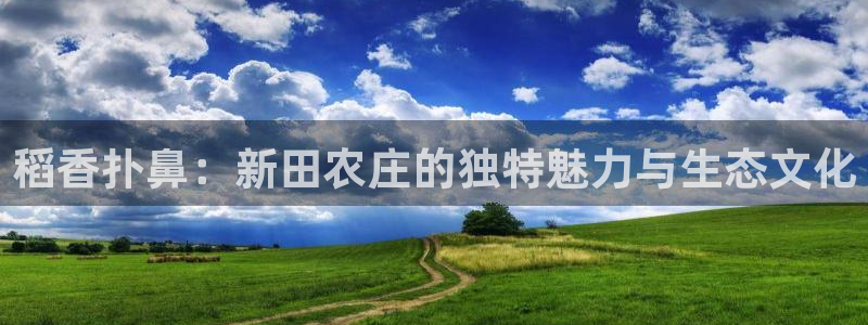 琳琅娱乐在哪直播
