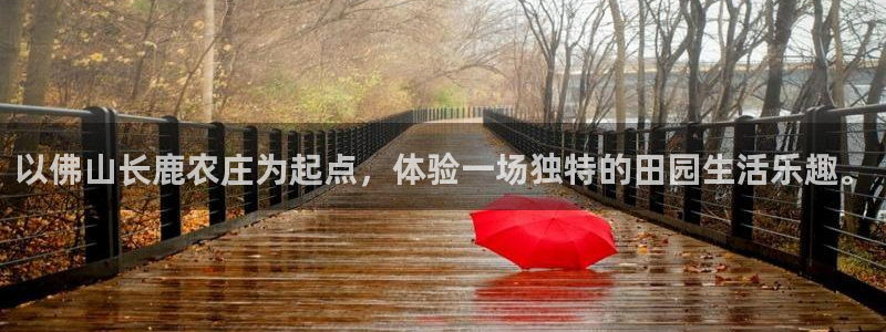 琳琅娱乐工作室地址查询