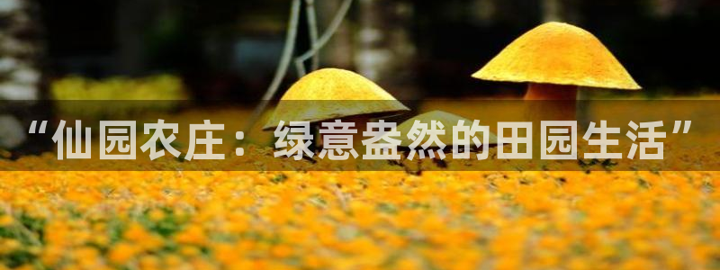 琳琅娱乐工作室招聘