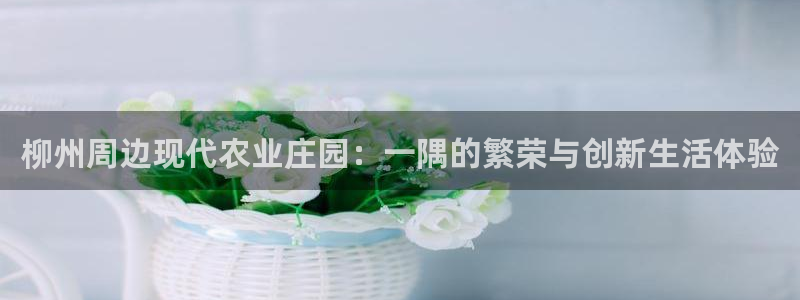 娱乐从琳琅榜开始