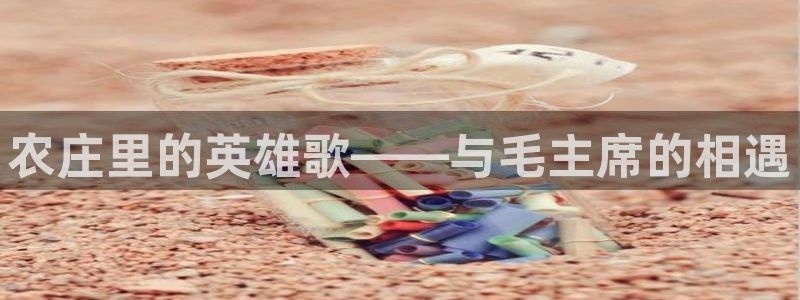 琳琅满目的娱乐设施