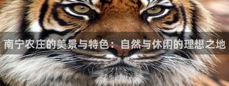 琳琅娱乐工作室怎么样