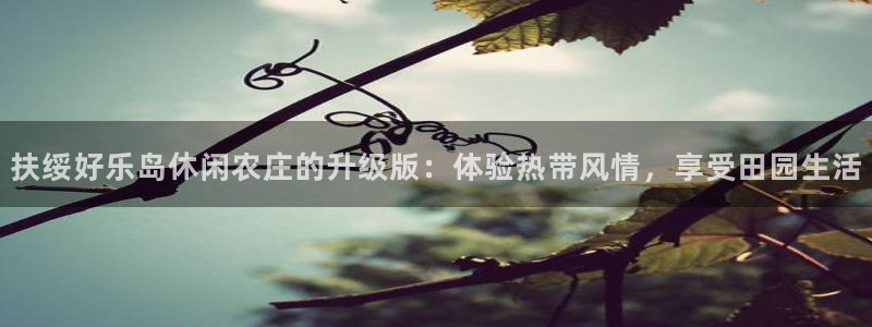 琳琅娱乐平台