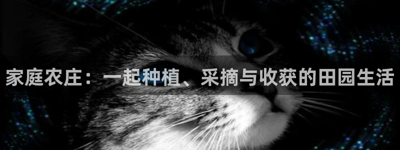 琳琅作者娱乐圈女主