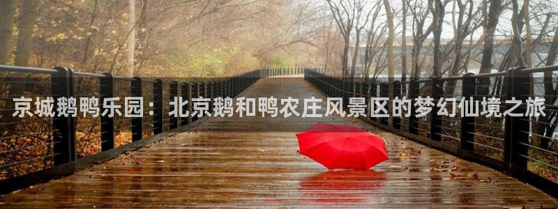 琳琅娱乐组飞车