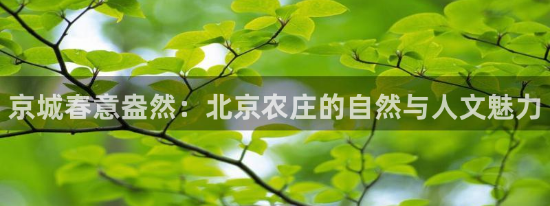 琳琅娱乐周7O777