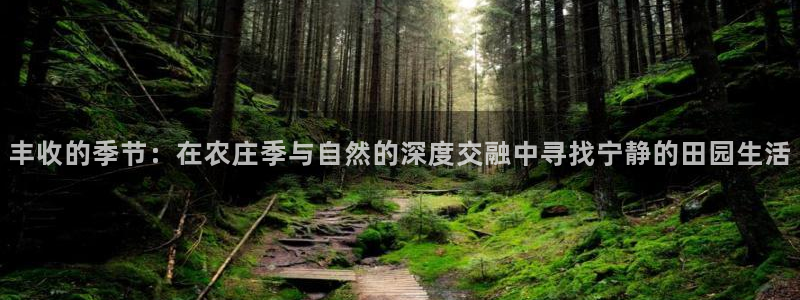 琳琅科技娱乐机器