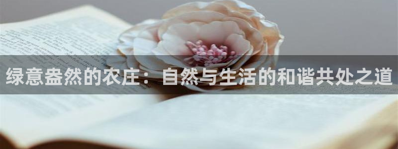 琳琅娱乐主管