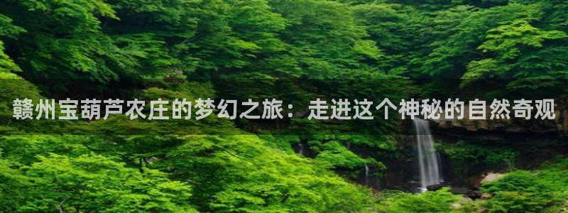 琳琅娱乐八卦