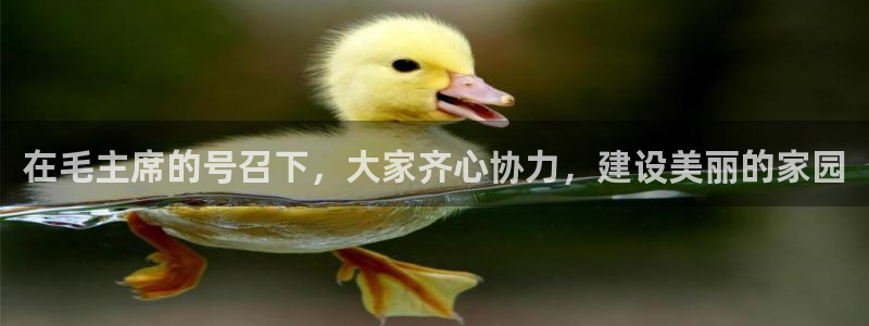 琳琅娱乐信誉33300
