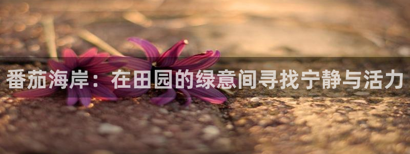 琳琅娱乐注册登录官网