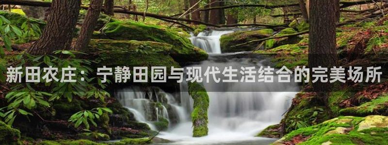 琳琅娱乐机器人
