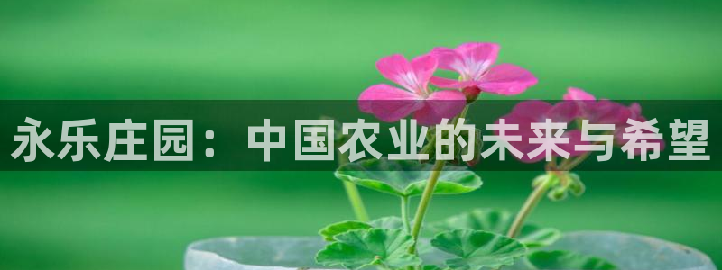 琳琅娱乐代理人是谁