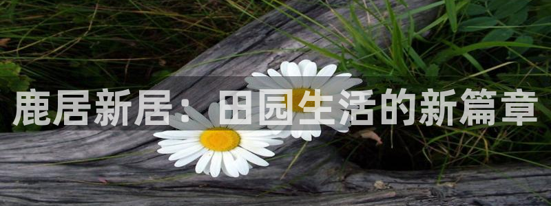 琳琅娱乐园
