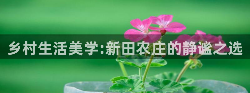 琳琅娱乐APP下载