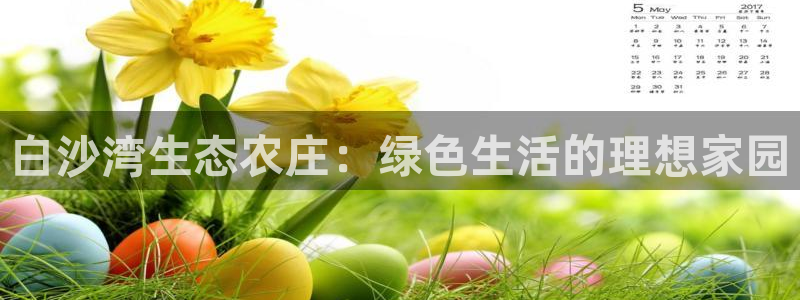 琳琅谈娱乐