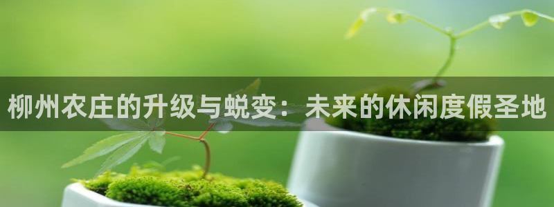 琳琅娱乐600