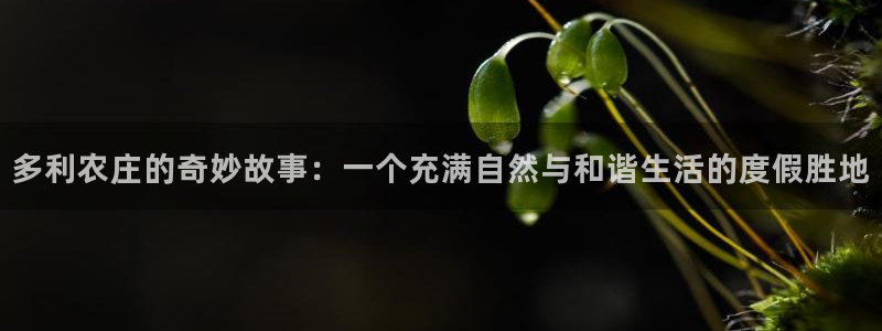 琳琅娱乐工作室招聘信息