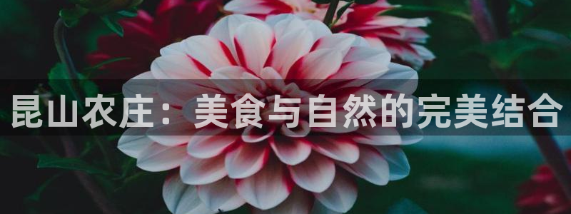 琳琅娱乐登入