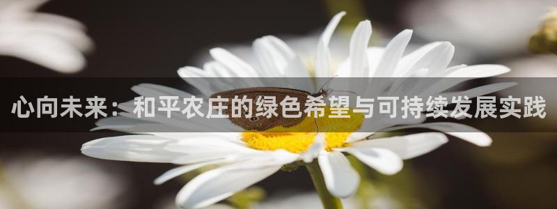 琳琅娱乐前7O777