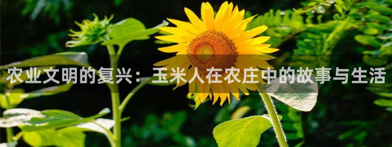 琳琅娱乐领先33300