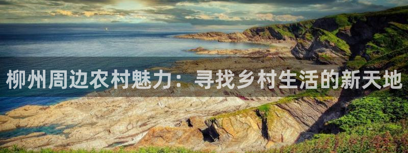 祖龙娱乐官网爱在琳琅