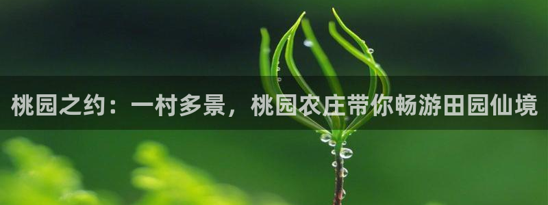 琳琅娱乐注册资金多少