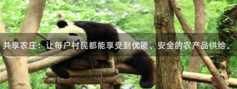 琳琅娱乐m