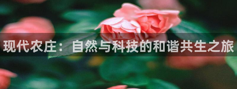 琳琅娱乐信誉33300