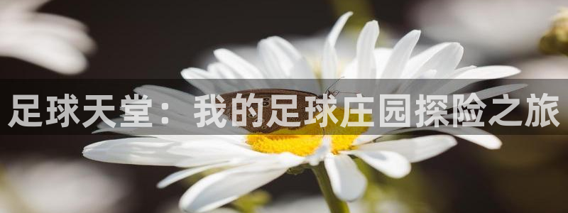 琳琅科技娱乐qq机器人词库