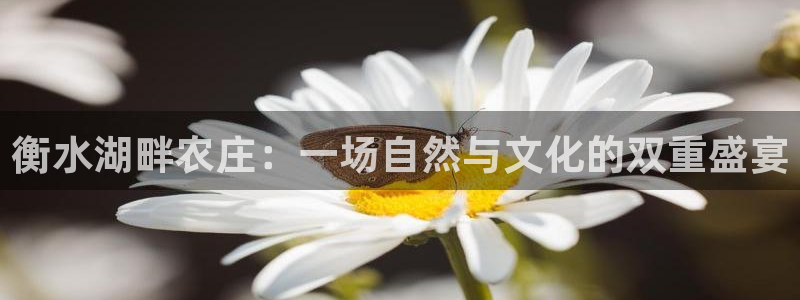 琳琅娱乐天美2