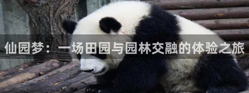 琳琅娱乐社区